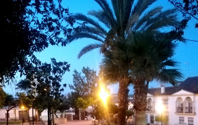 Urb. los Tejares (9)